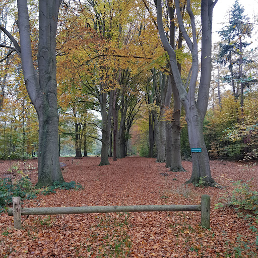 Oostermaet, groepskampeer natuurterrein - Thumbnail