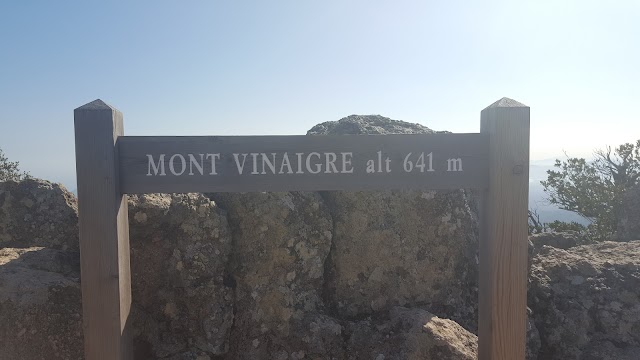 Mont Vinaigre