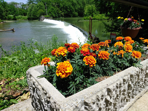 Gary's Dam Bait Shop Gallery - United States