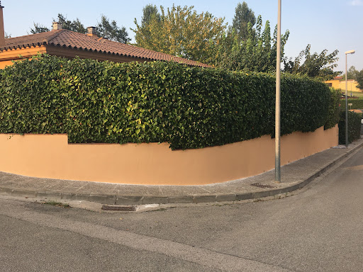 PINTACOLOR - Visual