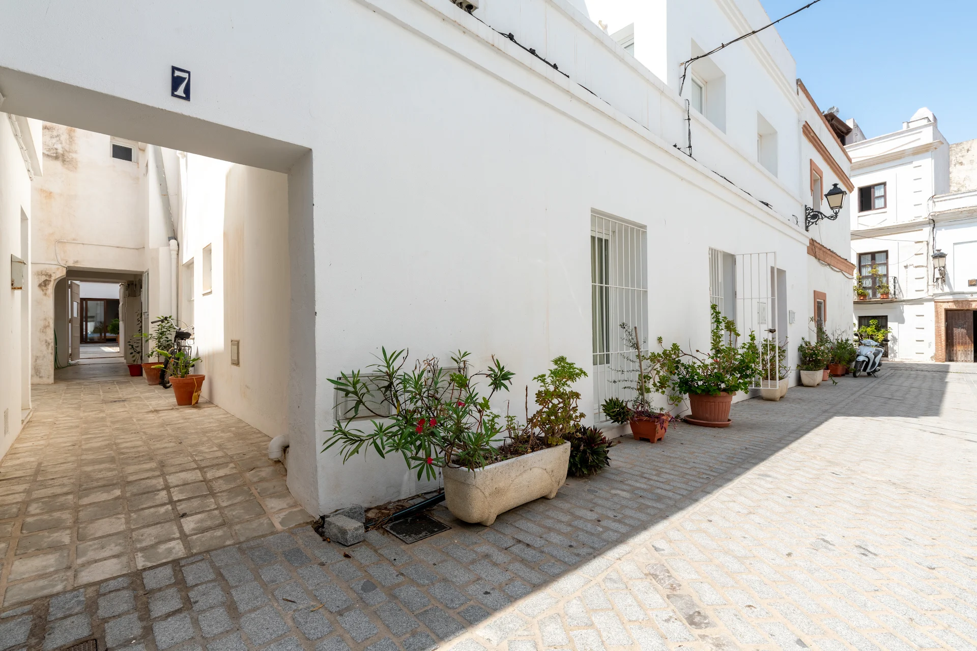 Apartamentos el erizo