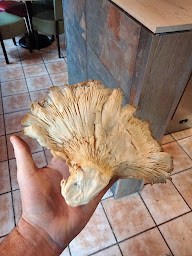 Photo n°25 de Le Vérone à Reims (Restaurant italien)