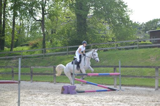 Stud Du Manoir - Thumbnail
