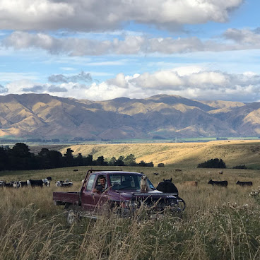 Valley Views Glamping by null