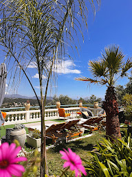 Photo n°93 de Hôtel Miramar à Vence (Hôtel)