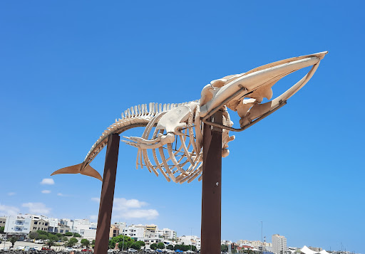 Fuerteventura
