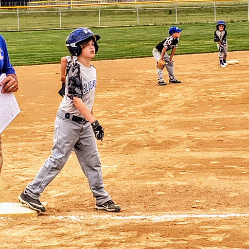 Sandquist Fields - Visual