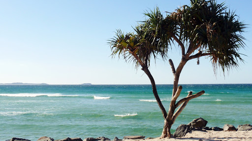 MP Podiatry at Kingscliff Health - Thumbnail