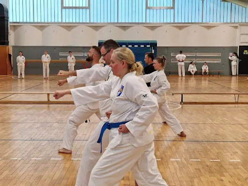 SV Kloster Lehnin e.V. Sektion Taekwondo - Thumbnail