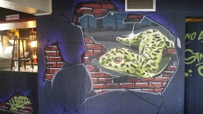 Photos of Lazy Lizard