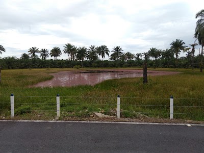 Photos of Finca El Paraiso