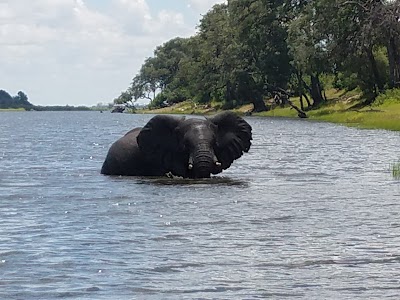 Photos of CASCADE ISLAND LODGE