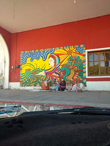 Regidora de Educación Ayuntamiento