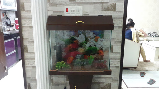 New Fish Point