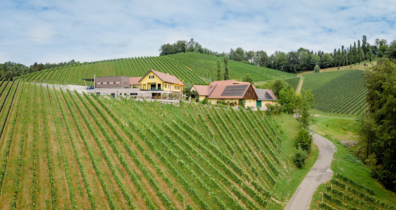 Familienweingut - Buschenschank Trabos - Gamlitz