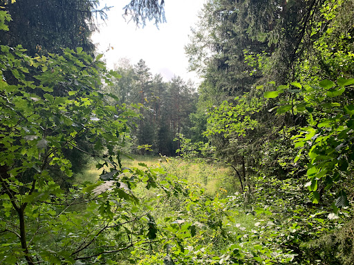 Tierbeobachtungskanzel Gallery - Germany