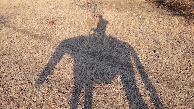 Photos of Limpopo Horse Safaris