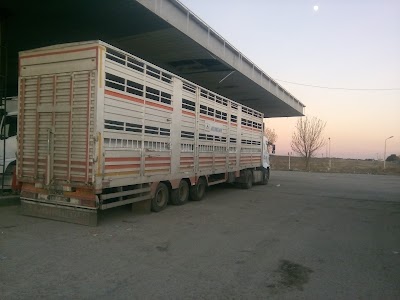 Photos of HUR LINE GUMRUK MUSAVIRLIGI