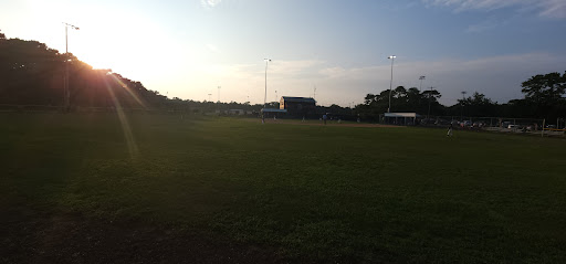 Barnegat Branch Trail At Barnegat Little League Fields - Thumbnail