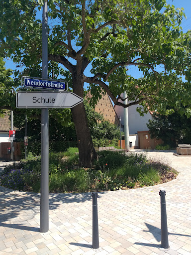 Bechererplatz - Thumbnail