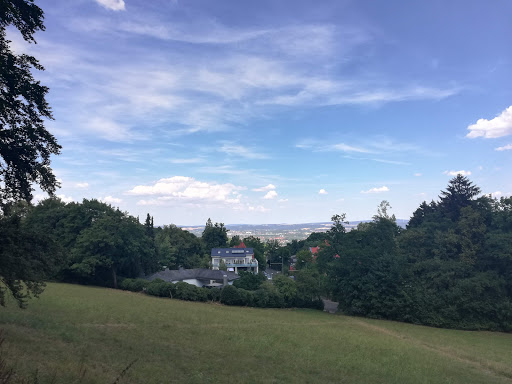 Waldorfschule - Thumbnail