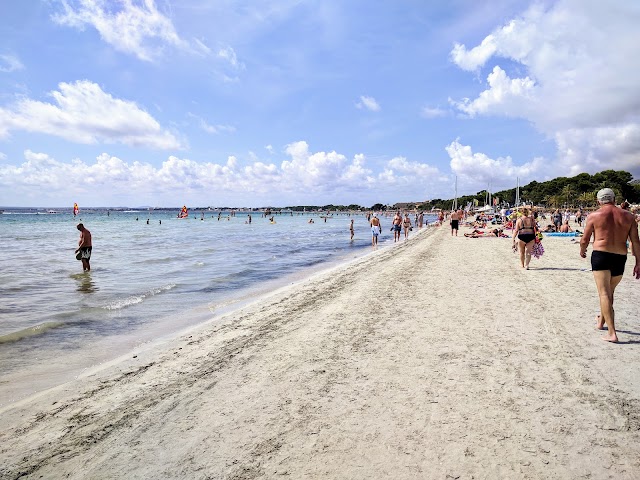 Platja d'Alcúdia