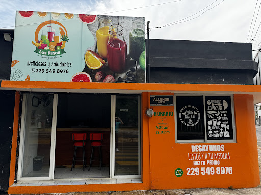 Los Pinos Jugos y Licuados