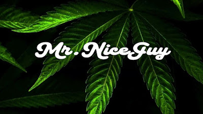Photo of Mr.Niceguy