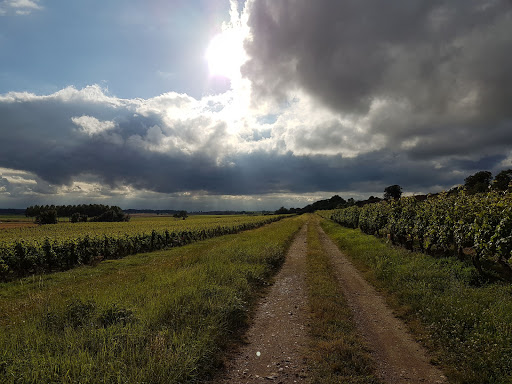 Christian COUSIN - Domaine de Fiervaux - Thumbnail