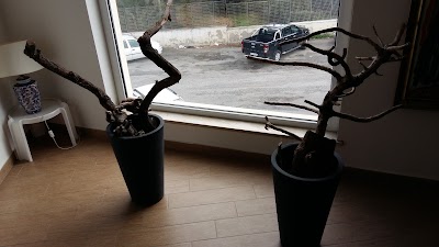 Photos of Residence Thalassa