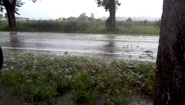Transpergruas - Canelones
