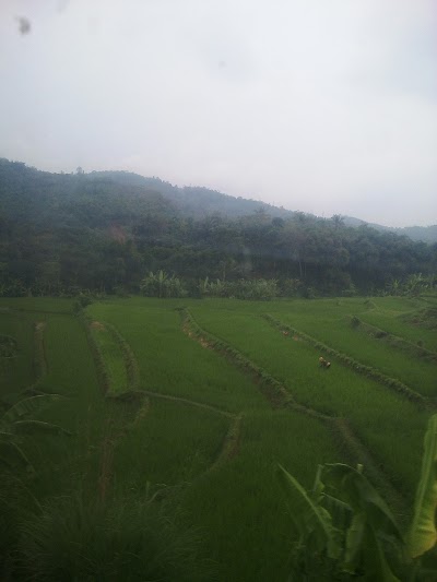 Photos of Talun