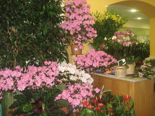 Fiori Salemi Gaetano - Servizio Interflora - Thumbnail