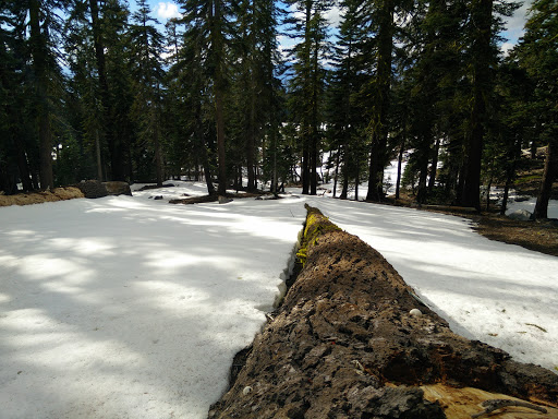 Panther Meadow Campground - Thumbnail