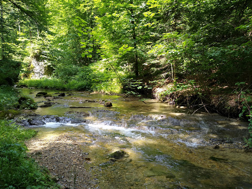 Hasenreuter Wasserfall - Thumbnail