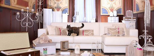 Elisir Home - Thumbnail