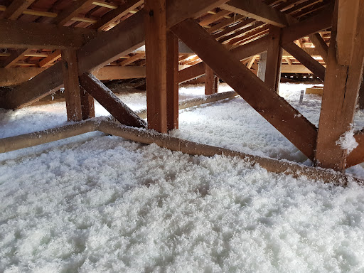 Alpha Termites Isolation - Thumbnail