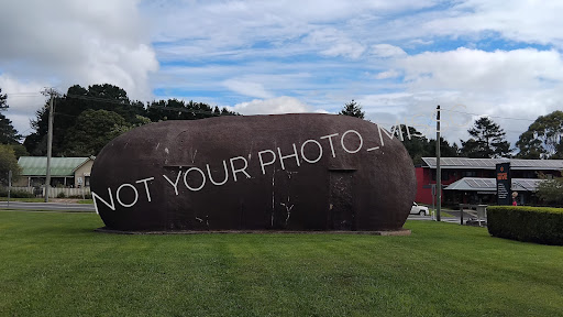 The Big Potato - Thumbnail