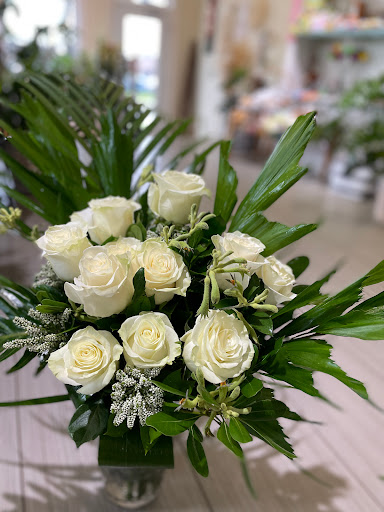 Jazz Fleurs - Visual