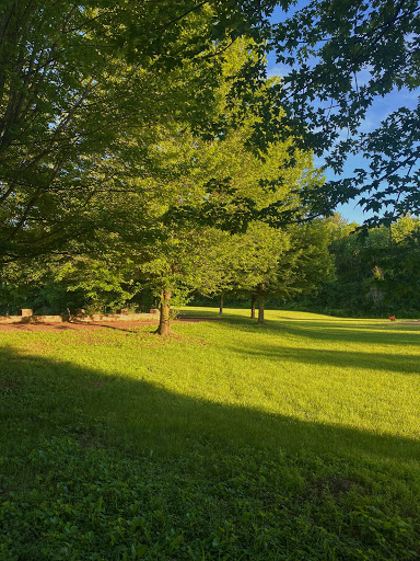 Steinmetz Park - Thumbnail