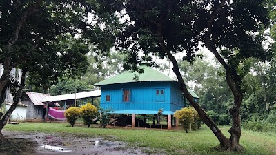 Photos of Forest Rest House