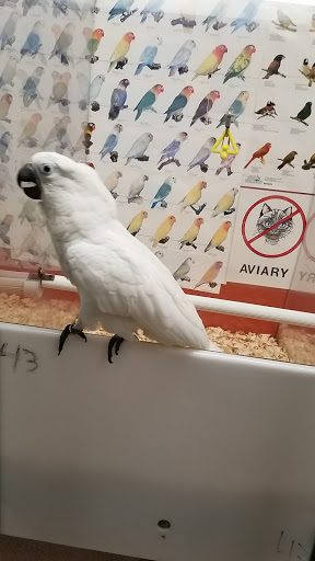Bird Jungle Gallery - United States