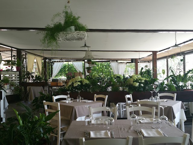 Ristorante Edy Più