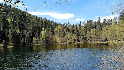 Lac de la Maix - Thumbnail