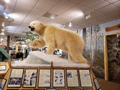 North American Bear Center