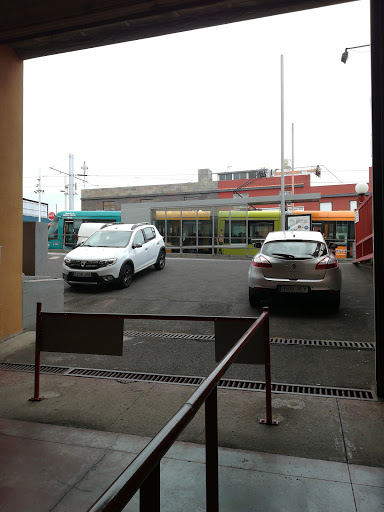 El Cardonal