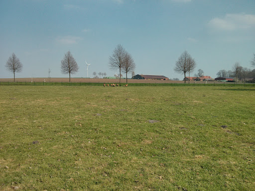 Albers Gasthaus - Thumbnail