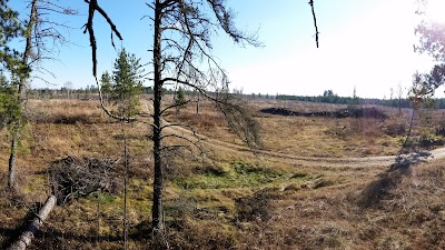 Mississippi Headwaters State Forest