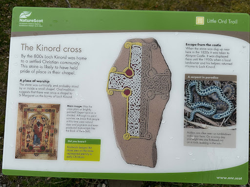 Kinord Cross Pictish Stone Gallery - United Kingdom