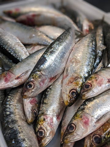 The District Fishwife by null